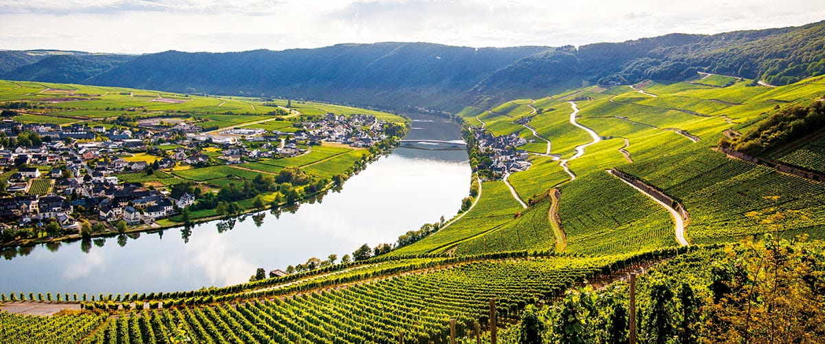 A view over the vineyards of the Moselle Vally, Germany
